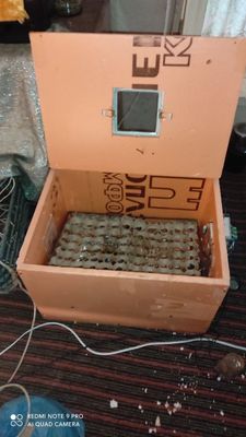 Inkubator 100talik