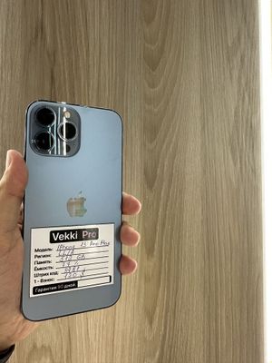 iPhone 13 Pro Max