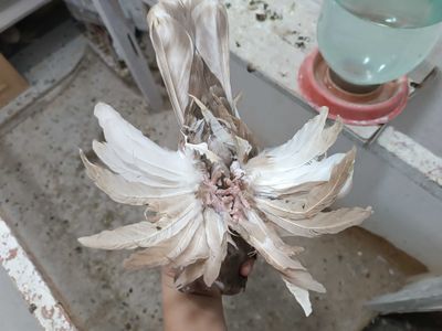 qopqon moda paypo kotta sotiladi toshkenda
