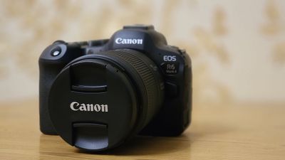 Canon EOS R6 Mark II body