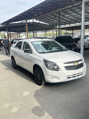 Cobalt Midnight 2025 8 oy