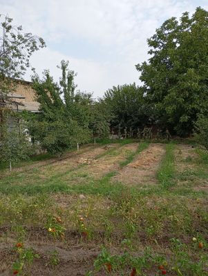 Ку́к теракда 4-соток ер сотилади. 48000 доллар.