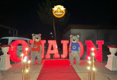 Onajon T syam bor