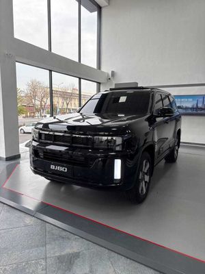 BJ 60 Yo'l tanlamas qoplon