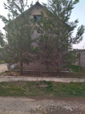 Куй- чирчикский р-н дочный поселок Махкам боги. 5 соток. Вода, свет ес
