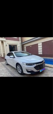 MALIBU premier 2020