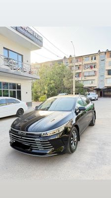 BYD Chazor 2 позиция 2024