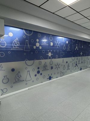 солнцезашитное плёнка,для офисов Матовая плёнка
