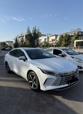 Byd chazor 120 tali Full