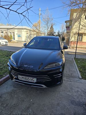 BYD чемпион 2024