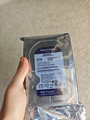 HDD 4TB Purple Western Digital (WD)