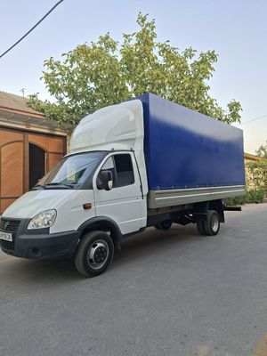Gazel Bizness 330202