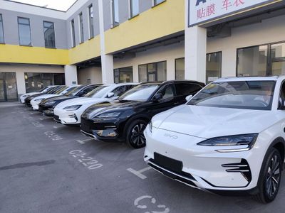 Byd song plus champion ev