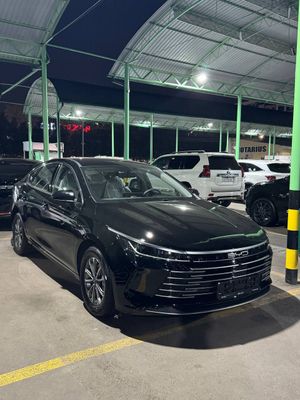 Byd Chazor bezprobeg