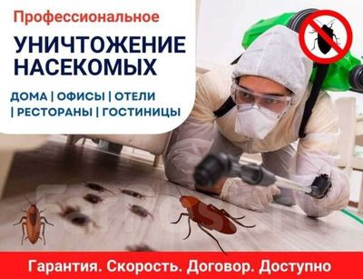 Профессиональная обработка от насекомых. Dezinfeksiya xizmati Toshkent