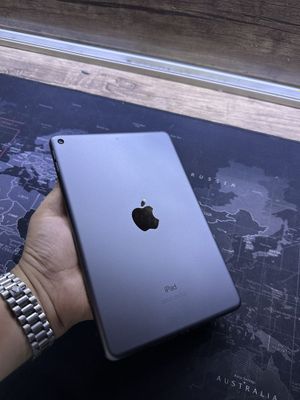 iPad 5mini 256GB