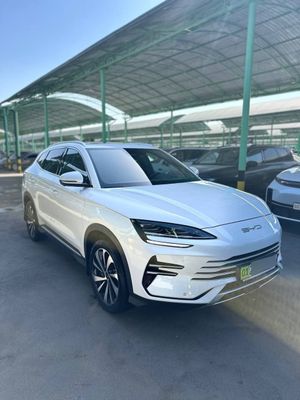 BYD CHempion gibrid 2024