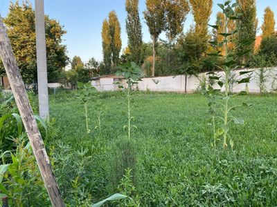 Продаётся земля 12 соток (24×53) Салар