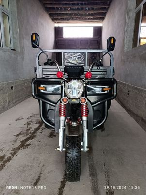 Muravey elektroni