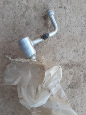 Jentraga kandisaner moslamasi