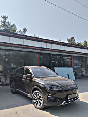 Byd Champion 605 full