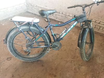velosiped