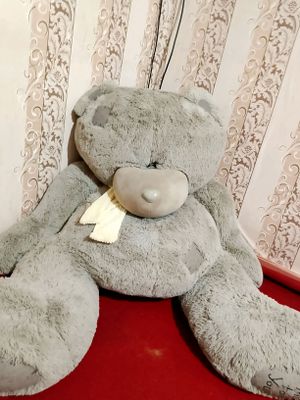 Teddy ayiq