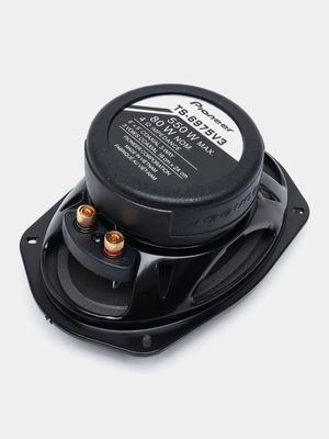 Pioneer champion v3