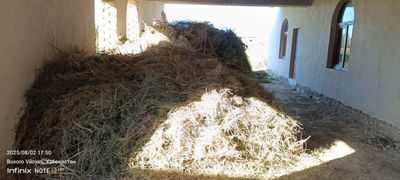 Беда шу йилги мол овкати