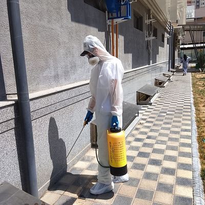 Дезинфекция избавим от муравьёв быстро и навсегда качество с гарантие