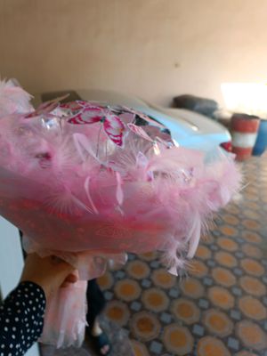 Гул капалакли