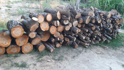 O'tin mevali daraxtlarniki. Srochni sotiladi. Dastafka bor