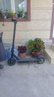 Samakat elektroni