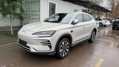 Byd champion smart full