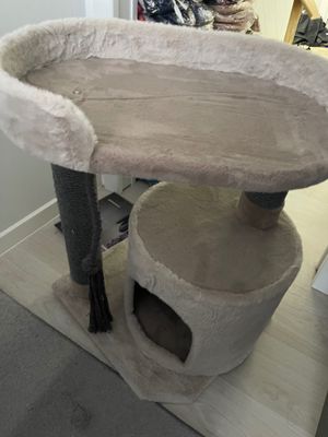 Когтеточка для кота