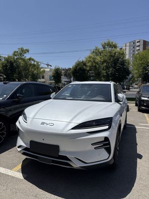 Byd champion smart drive 2025