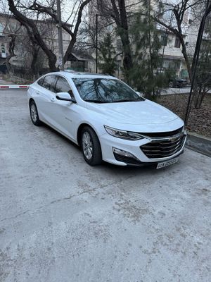 Malibu 2 primer 2021yil