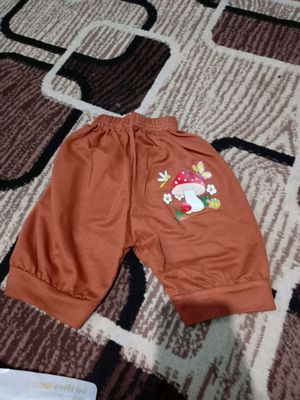shortikchalar
