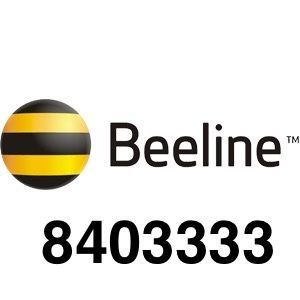 Beeline dan 3333 mobil raqam