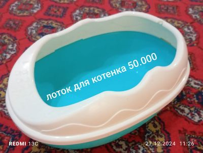 лоток для котенка