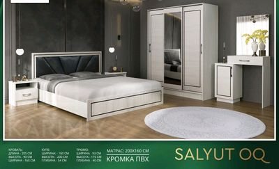 Salyut Hitech
