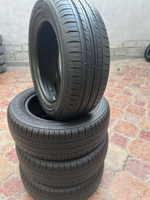 Kumxoo kareya R14 yumshoq
