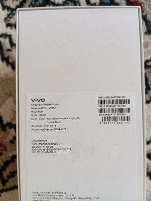 Vivo Y100 madeli