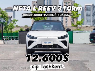 Neta L 310km гибрид полный фулл предзаказ