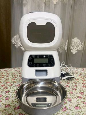 sotiladi karmushka