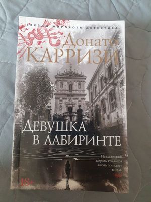 Девушка в лабиринте книга