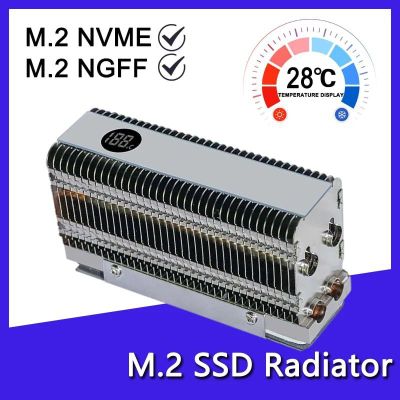Радиатор для SSD Ecsarmy M.2 С Отображением Температуры