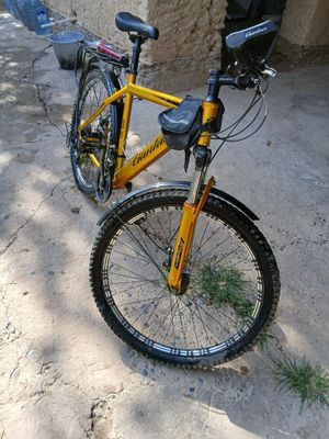 Xolati alo darajada