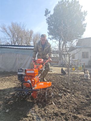 Работы по огороду, участку, на даче. Копаем, пилим, косим.