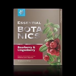 Медвежьи ушки и брусника - Essential Botanics от почек